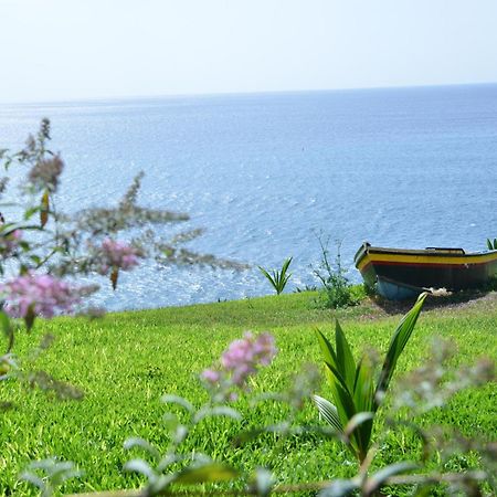 Quinta Golfinho Leilighet Arco da Calheta  Eksteriør bilde