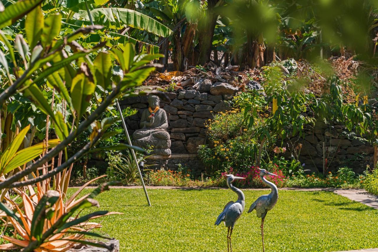 Quinta Golfinho Leilighet Arco da Calheta  Eksteriør bilde