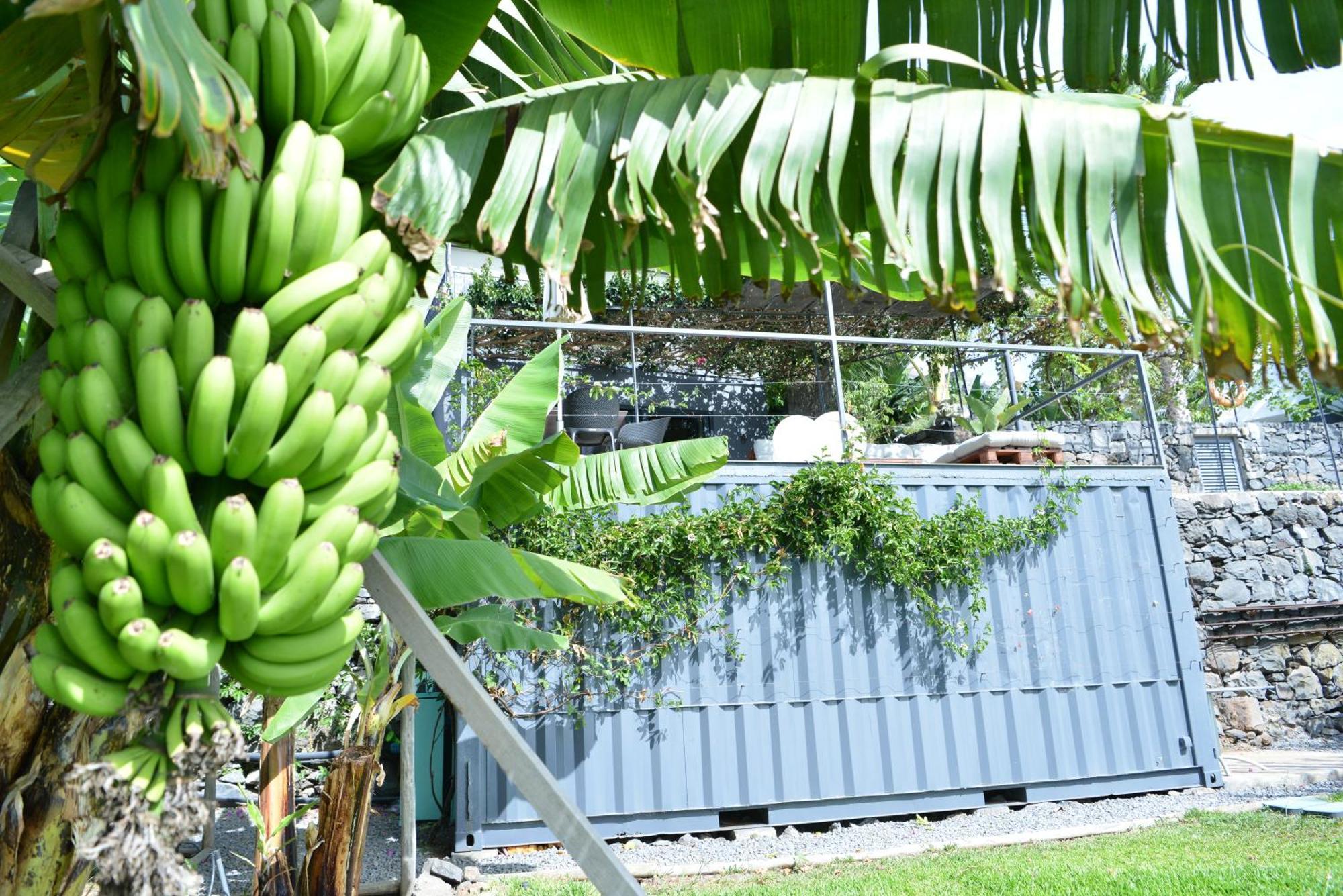 Quinta Golfinho Leilighet Arco da Calheta  Eksteriør bilde